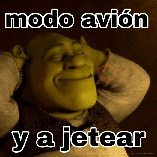 Shrek sin filtros 💥✅️ sticker 11
