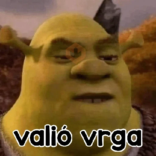 Shrek sin filtros 💥✅️ sticker 13