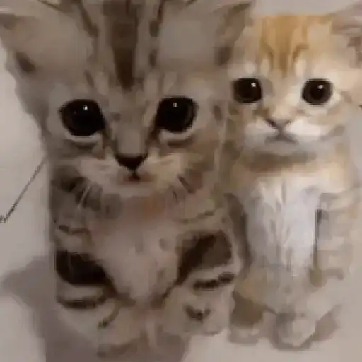 🐈‍⬛🐱🧶 GATOS | CATS 4 🧶🐱🐈‍⬛ sticker 12