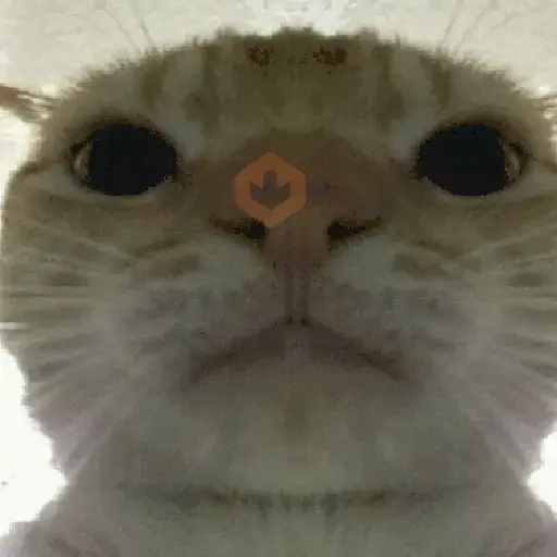 🐈‍⬛🐱🧶 GATOS | CATS 4 🧶🐱🐈‍⬛ sticker 13