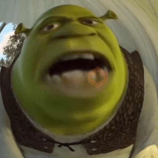 Shrek | Reações | Memes sticker 14