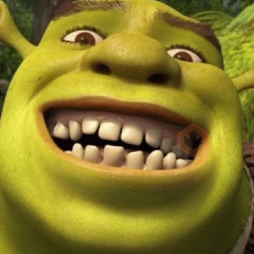Shrek | Reações | Memes sticker 17