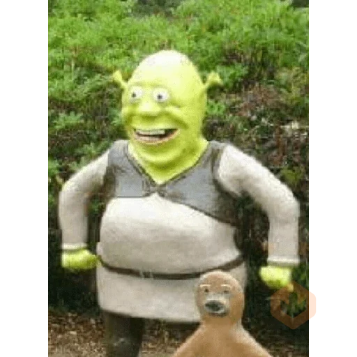 Shrek reacciones sticker 21