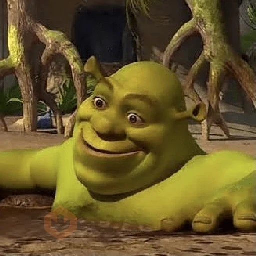 Shrek reacciones sticker 12