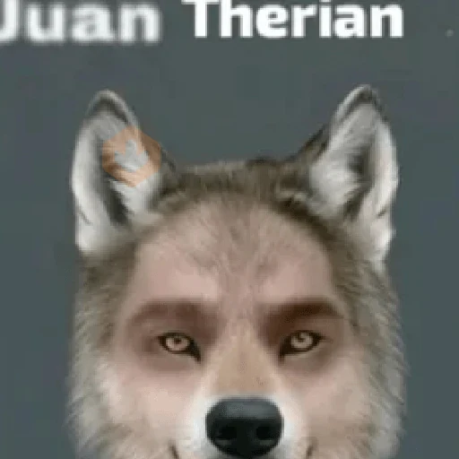 Juan de dios 😈 Dj Pantoja 2😇 sticker 28