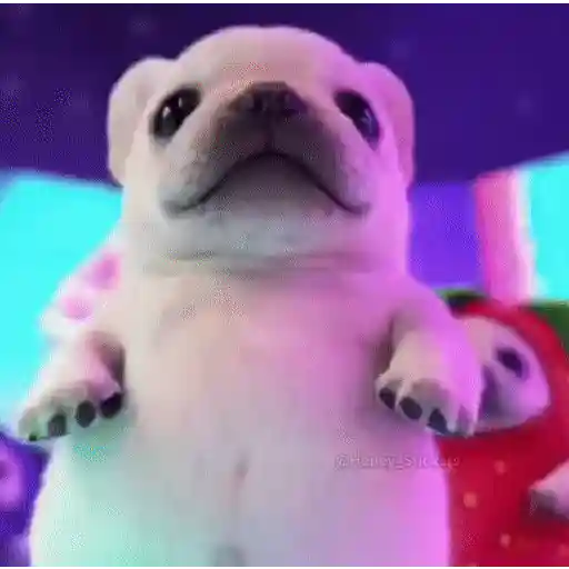 🔥📱 TIKTOK VIRAL 📱🔥 sticker 15