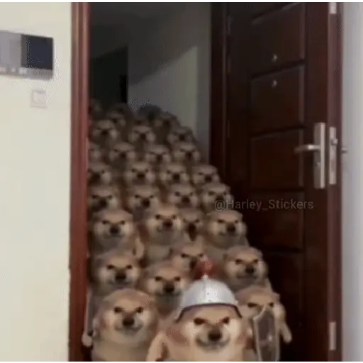 🔥📱 TIKTOK VIRAL 📱🔥 sticker 12