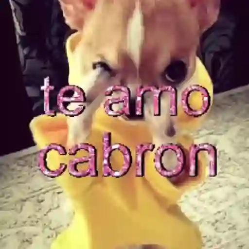 ✨️🎵📋 • FRASES TIKTOK • 📋🎵✨️ sticker 22