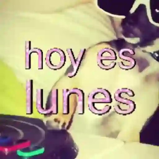 ✨️🎵📋 • FRASES TIKTOK • 📋🎵✨️ sticker 20