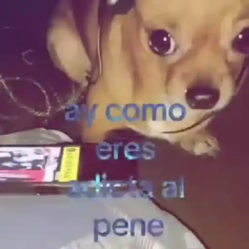✨️🎵📋 • FRASES TIKTOK • 📋🎵✨️ sticker 30