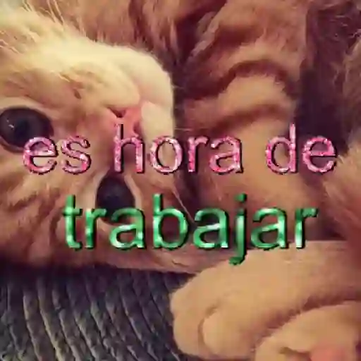 ✨️🎵📋 • FRASES TIKTOK • 📋🎵✨️ sticker 19