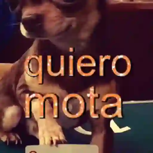 ✨️🎵📋 • FRASES TIKTOK • 📋🎵✨️ sticker 23