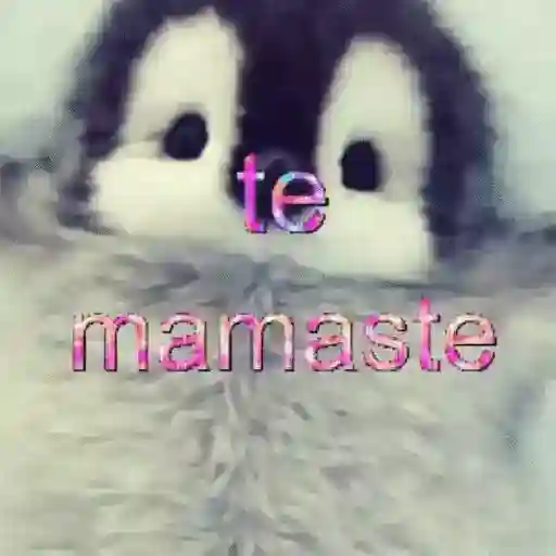 ✨️🎵📋 • FRASES TIKTOK • 📋🎵✨️ sticker 25