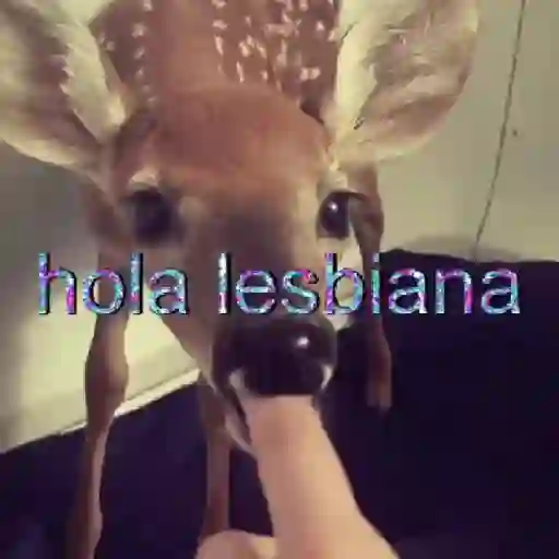 ✨️🎵📋 • FRASES TIKTOK • 📋🎵✨️ sticker 16