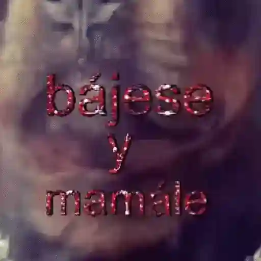 ✨️🎵📋 • FRASES TIKTOK • 📋🎵✨️ sticker 24