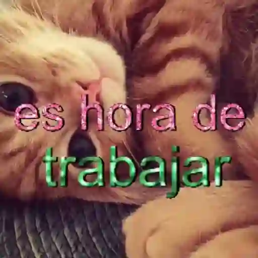 ✨️🎵📋 • FRASES TIKTOK • 📋🎵✨️ sticker 13