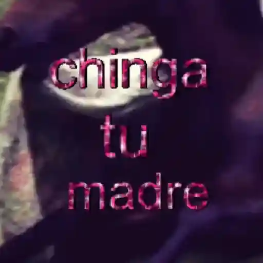 ✨️🎵📋 • FRASES TIKTOK • 📋🎵✨️ sticker 14