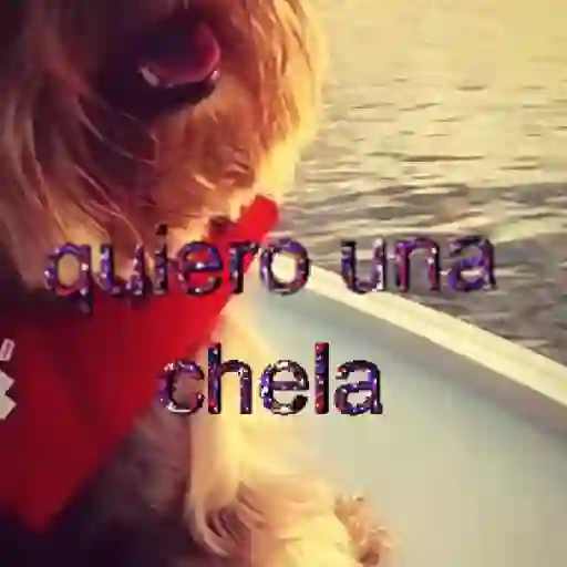 ✨️🎵📋 • FRASES TIKTOK • 📋🎵✨️ sticker 21