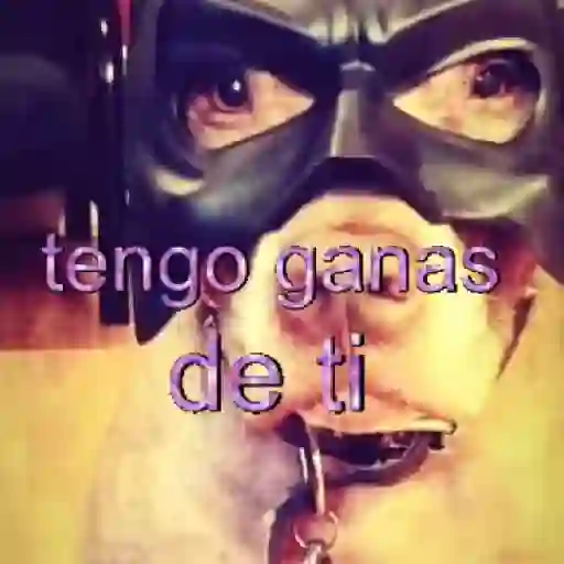 ✨️🎵📋 • FRASES TIKTOK • 📋🎵✨️ sticker 17