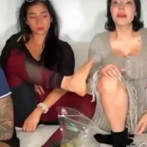 Sol león Naím Katy 🔥Yeri Mua 🤪 sticker 18