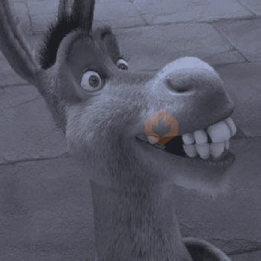 BURRO SHREK sticker 14