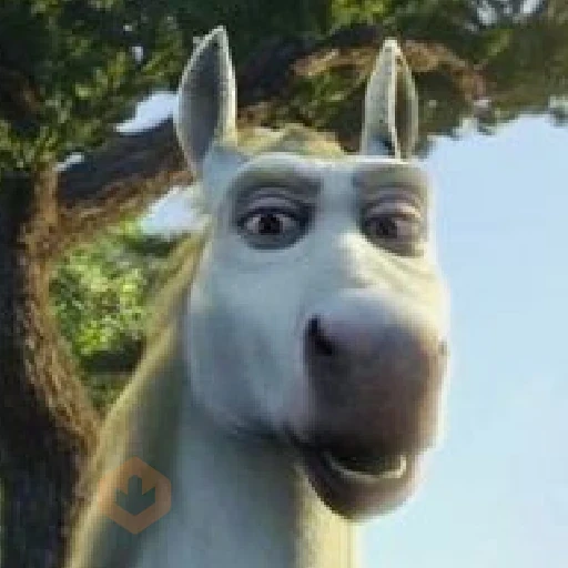 BURRO SHREK sticker 12