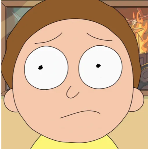 Rick and Morty 6