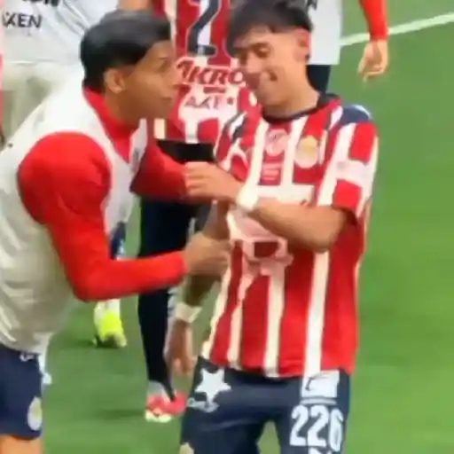 Chivas 2🐐🥅 Futbol ⚽ sticker 19