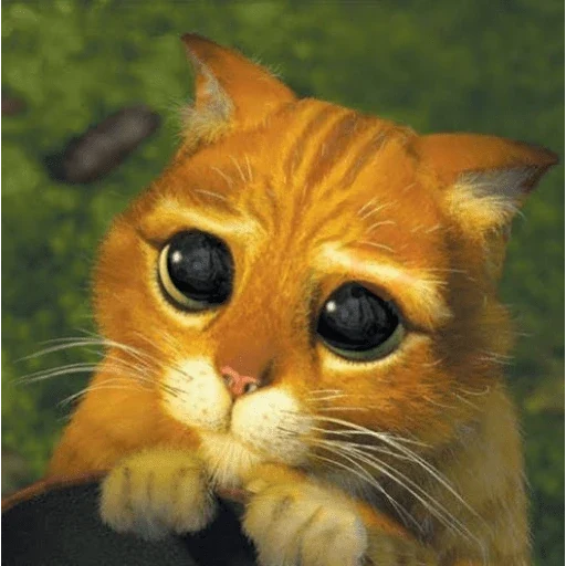 shrek memes sticker 11