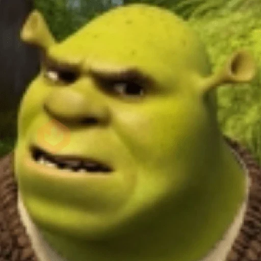 Shrek sticker 20