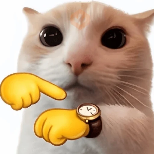 🐈‍⬛🐱🧶 GATOS | CATS 5 🧶🐱🐈‍⬛ sticker 23