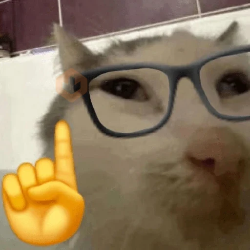 🐈‍⬛🐱🧶 GATOS | CATS 5 🧶🐱🐈‍⬛ sticker 28