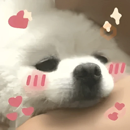 Memes sin texto 5 🫰🏻✨ sticker 27