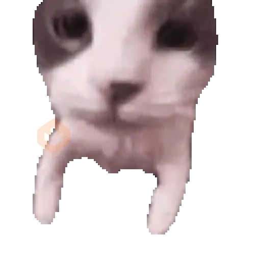 🐱🐾🐈 GATOS 🐈🐾🐱 sticker 20