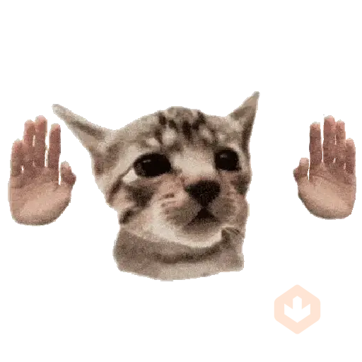 🐱🐾🐈 GATOS 🐈🐾🐱 sticker 21