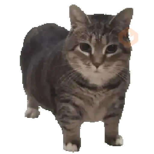 🐱🐾🐈 GATOS 🐈🐾🐱 sticker 27