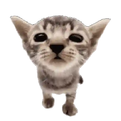 🐱🐾🐈 GATOS 🐈🐾🐱 sticker 30
