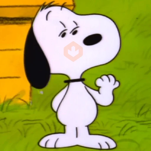 🦴🏠 SNOOPY 11 🏠🦴 sticker 13
