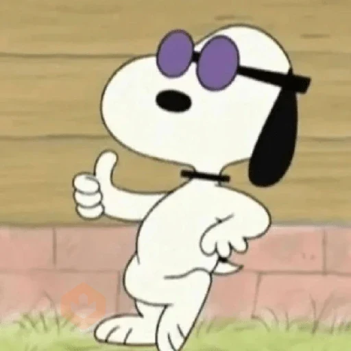 🦴🏠 SNOOPY 11 🏠🦴 sticker 12