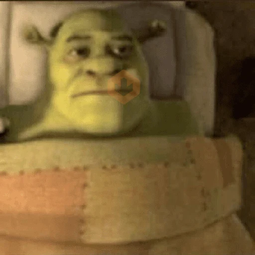SHREK MEMES sticker 13