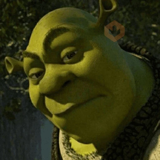 SHREK MEMES sticker 15