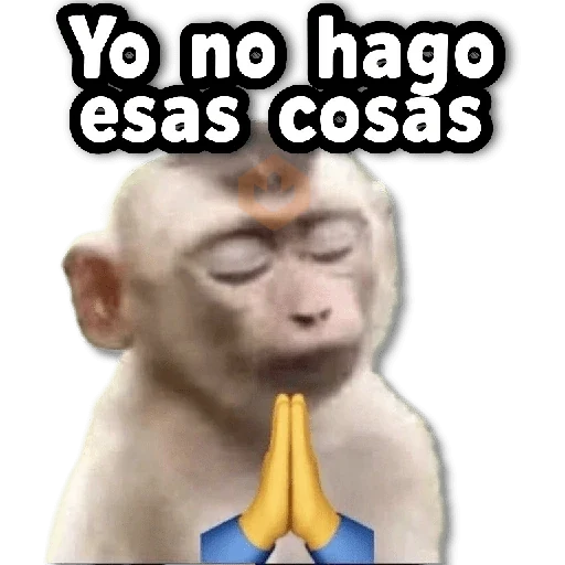 COMBO de Stickers #➋⓿ sticker 13