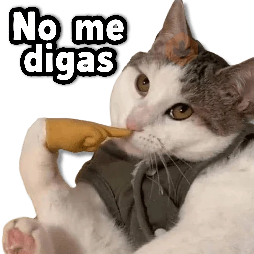 COMBO de Stickers #➋⓿ sticker 15