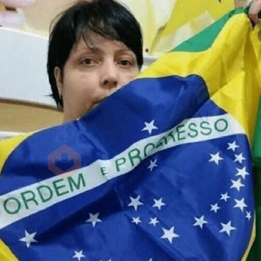 copa do mundo Brasil hexa sticker 16