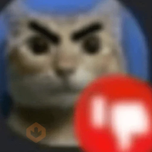 😼🫐 Gatos TikTok 🫐😼 sticker 12