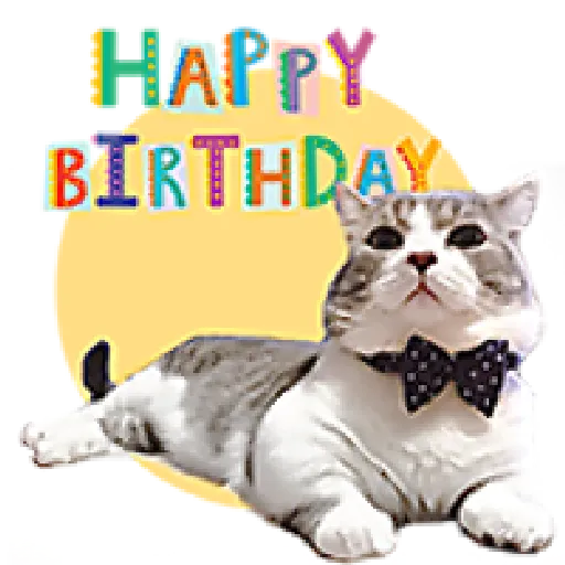 Feliz Cumpleaños