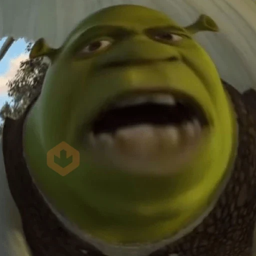 🏰🟢 SHREK MOODS 🟢🏰 sticker 16