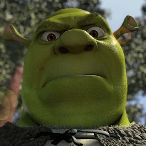 🏰🟢 SHREK MOODS 🟢🏰 sticker 27