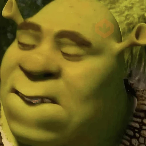 🏰🟢 SHREK MOODS 🟢🏰 sticker 15