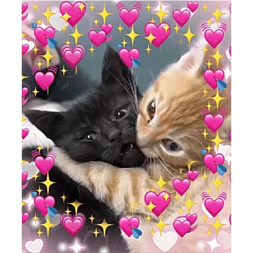 Amor 🩷💞🩷 sticker 14